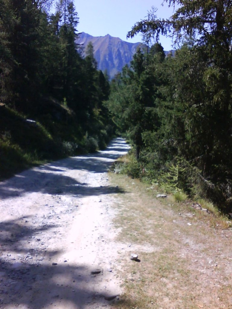 43568-dsc00019.jpg