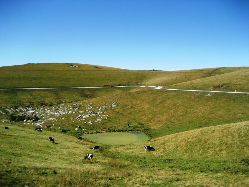 43576-img0948.jpg