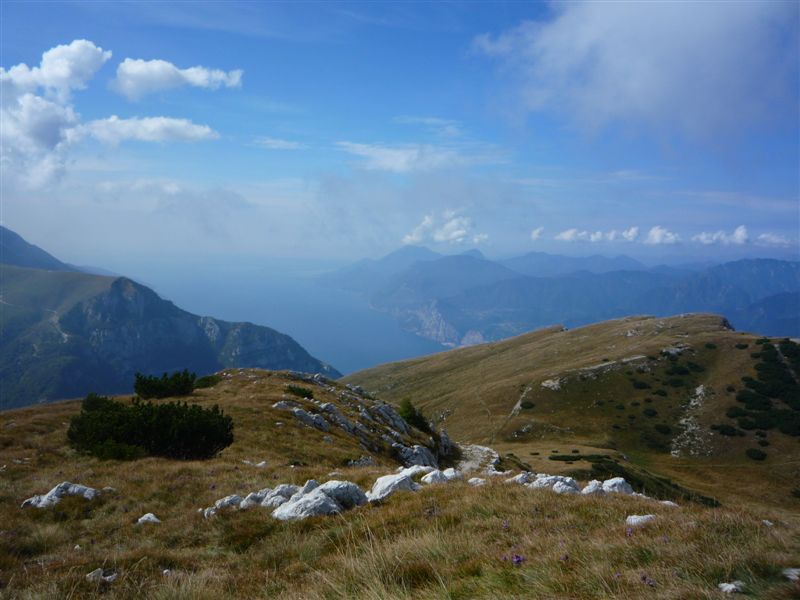 43822-p1020594.jpg