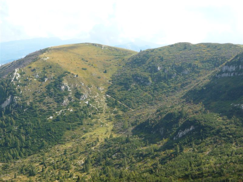43825-p1020614.jpg