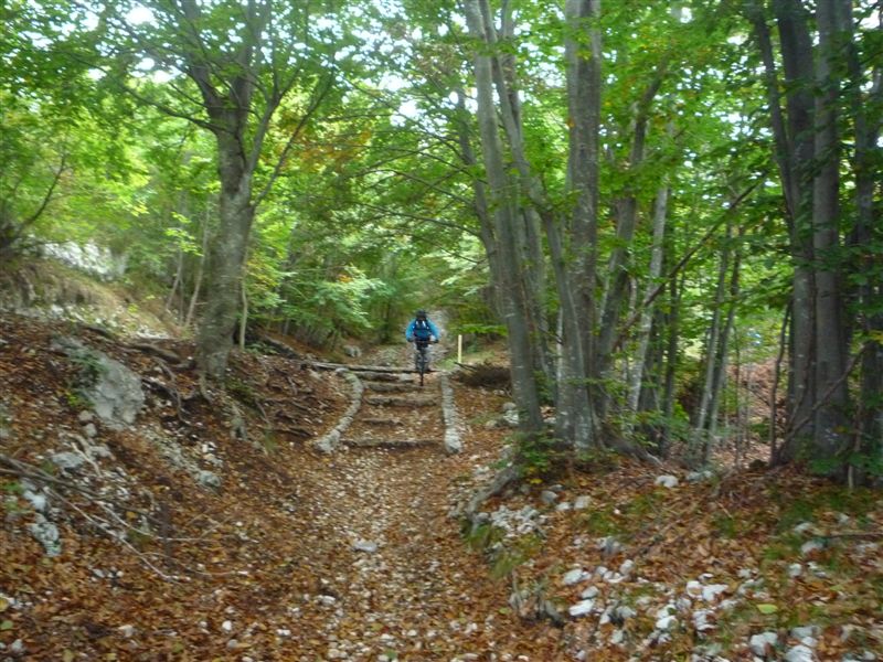 43835-p1020628.jpg