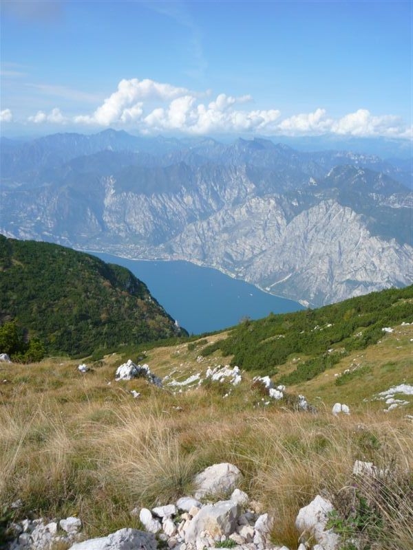 43838-p1020601.jpg