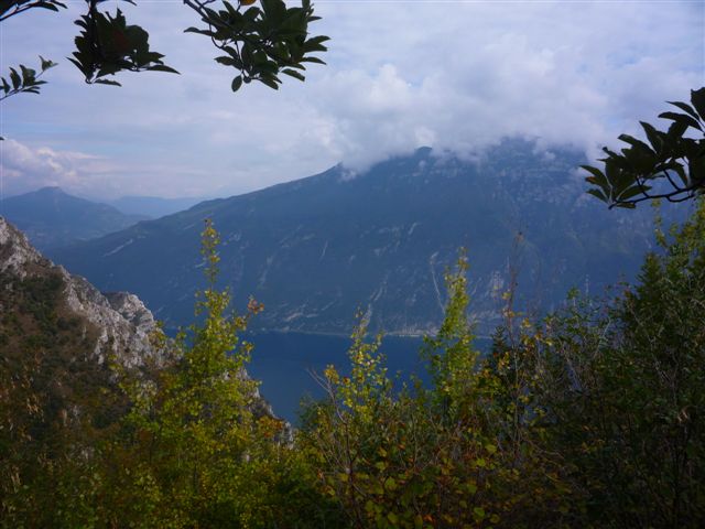 43949-p1020670.jpg