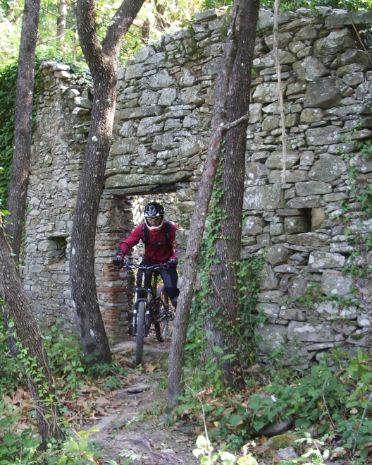 43965-stefano.jpg