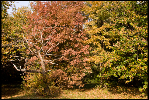 44569-dsc0024.jpg