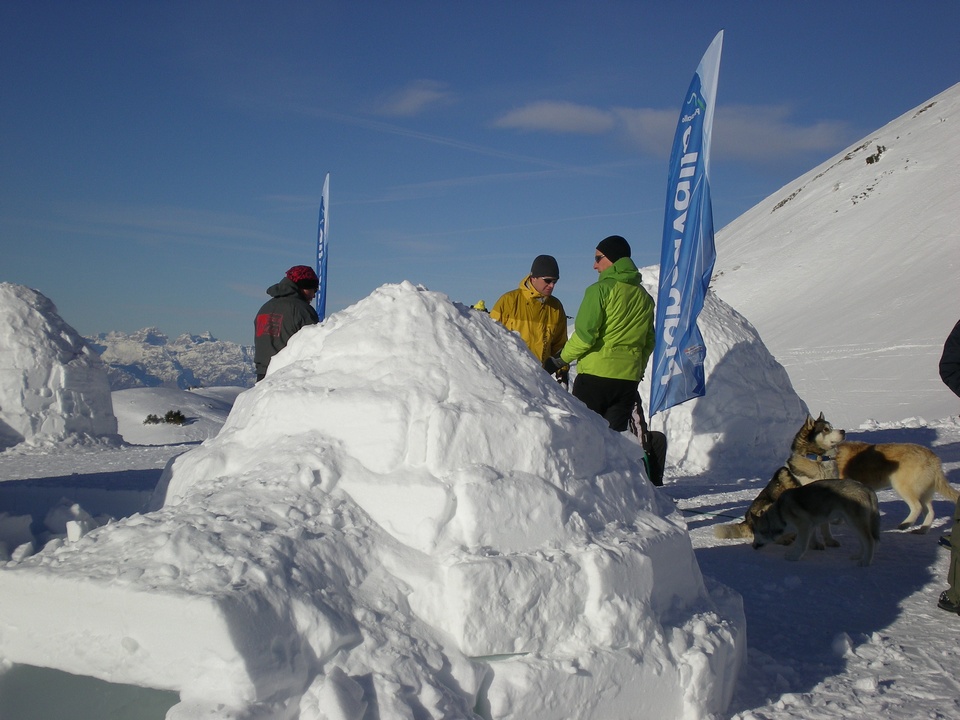 44997-tndscn1017.jpg
