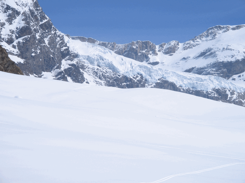 45775-img3448.gif