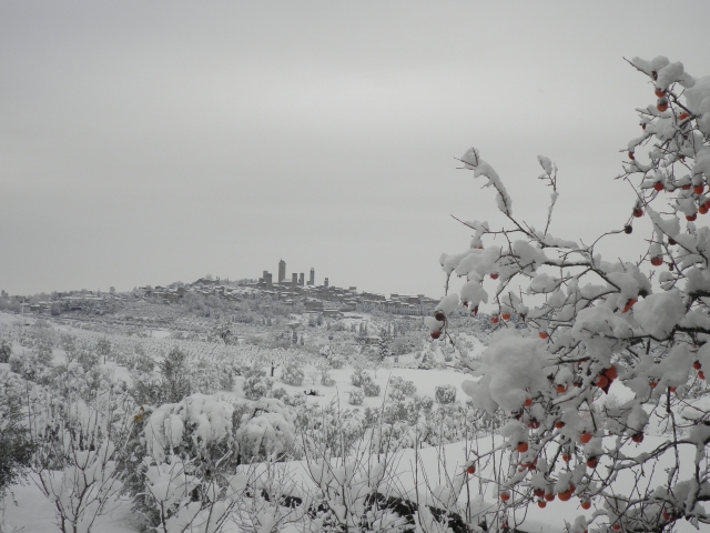 47090-san-gimignano-1.jpg