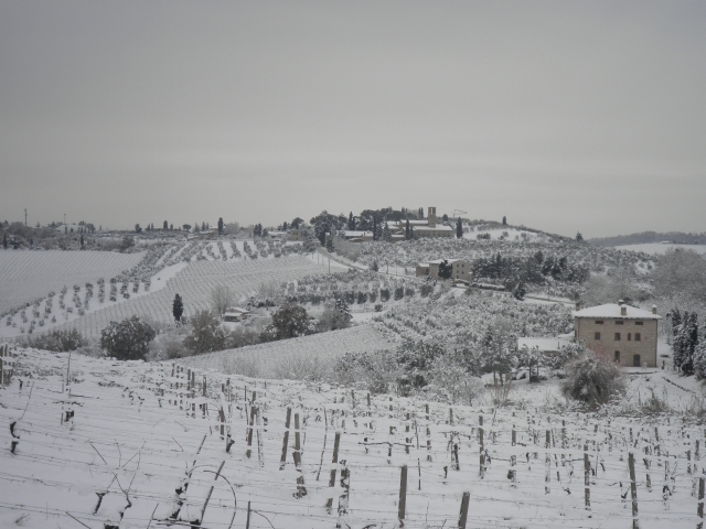 47091-verso-santa-lucia.jpg