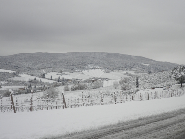 47095-poggio-bianco.jpg