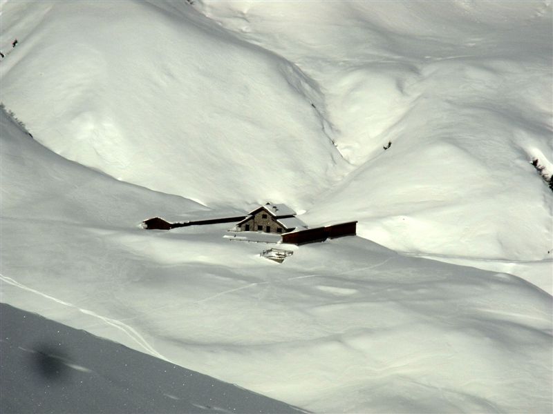 48811-malga-plotta.jpg