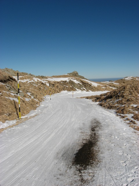 4890-catinaccioasfalto.jpg