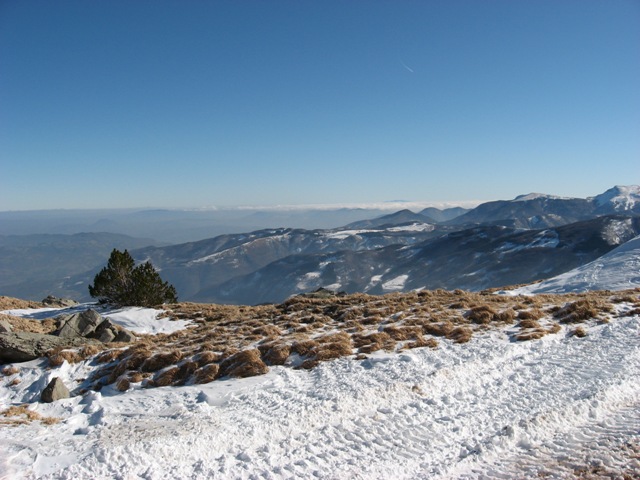 4891-catinaccio-panorami1.jpg