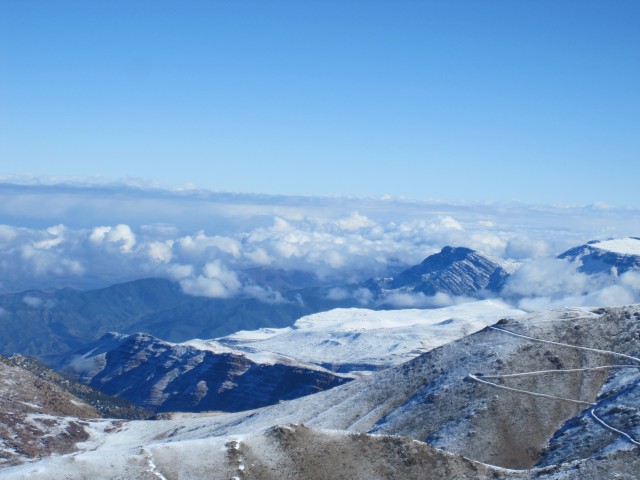 49539-img0375.jpg