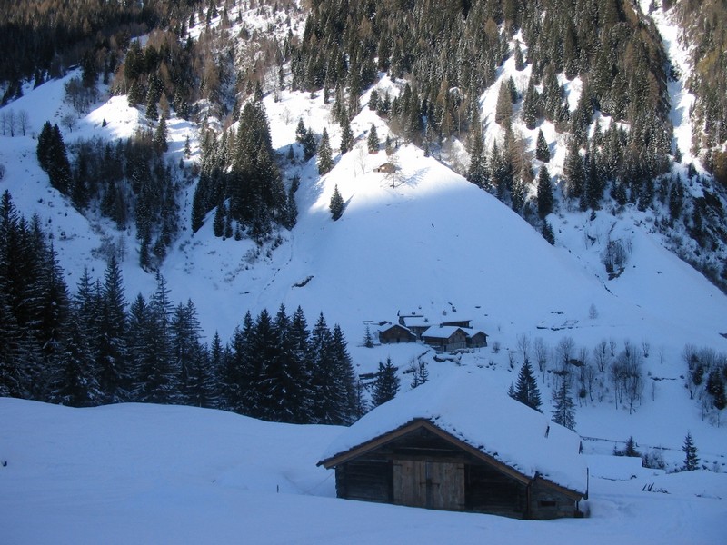 49590-tartano-7.jpg