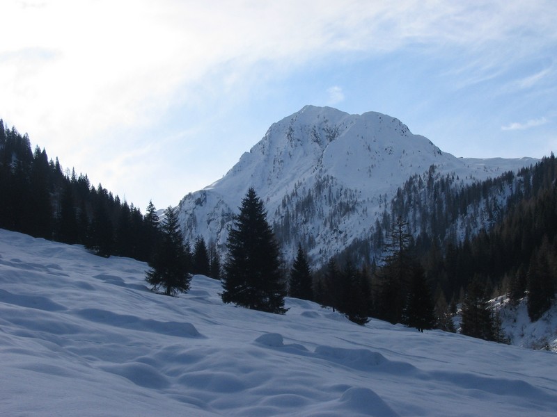 49593-tartano-14.jpg