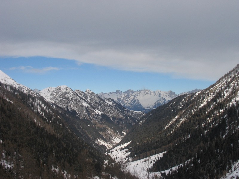 49596-tartano-22.jpg