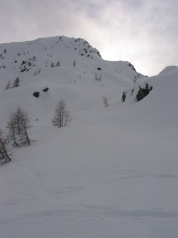 49598-tartano-27.jpg