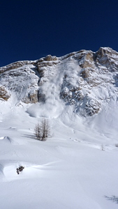 50241-p1010291.jpg