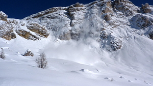 50246-p1010296.jpg