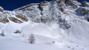 50247-p1010297.jpg