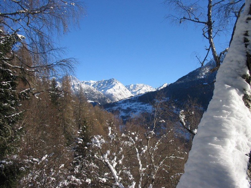 50875-arcoglio-7.jpg