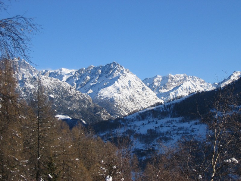 50876-arcoglio-8.jpg