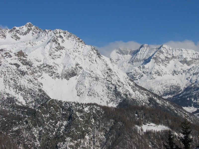 50877-arcoglio-14.jpg