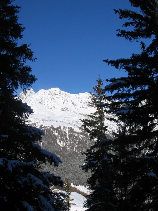 50879-arcoglio-15.jpg