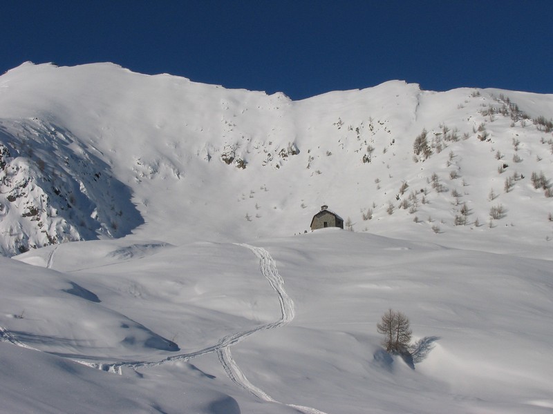50893-arcoglio-21.jpg
