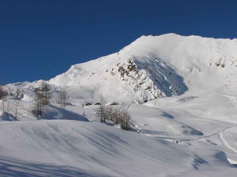 50894-arcoglio-22.jpg
