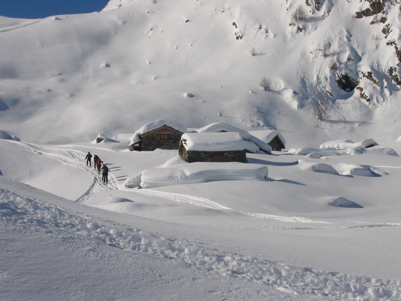 50895-arcoglio-26.jpg
