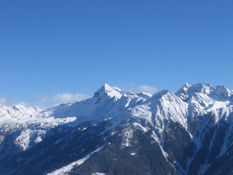 50904-arcoglio-31.jpg
