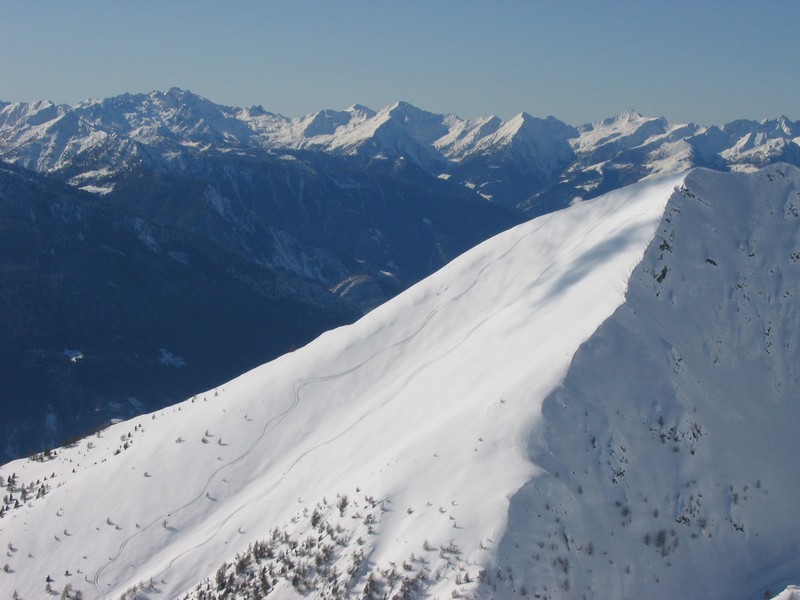50915-arcoglio-43.jpg
