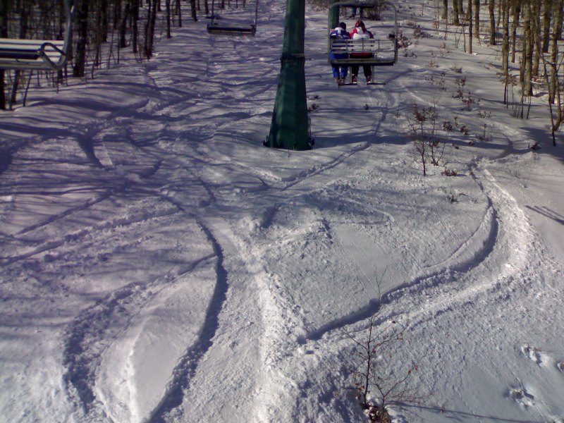 51245-07032010184.jpg