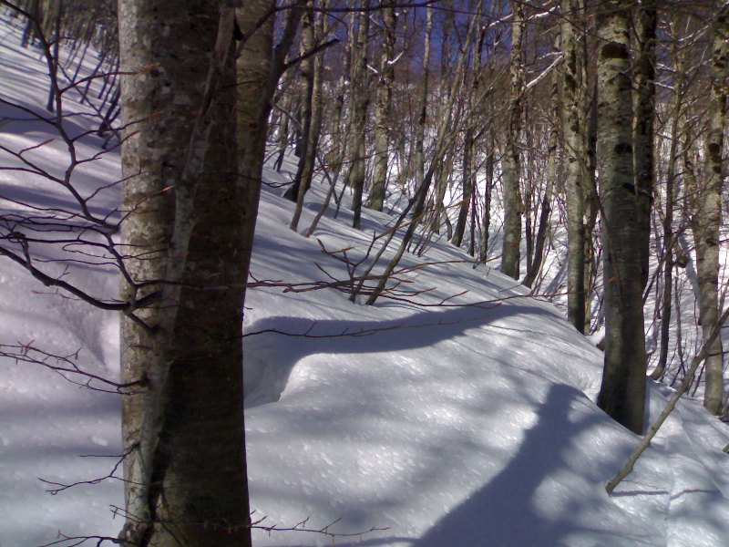 51249-07032010196.jpg