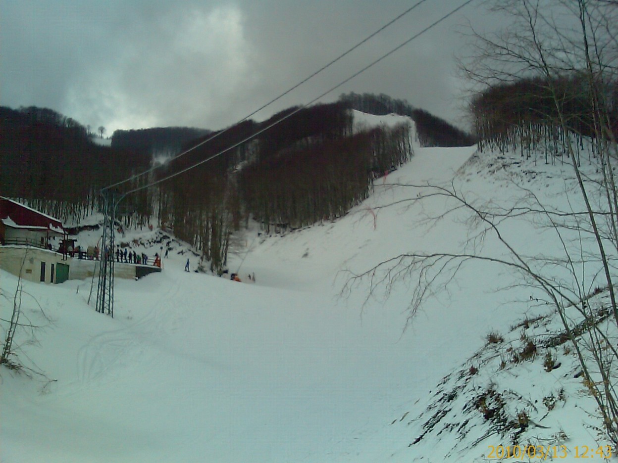 51752-imag0253.jpg