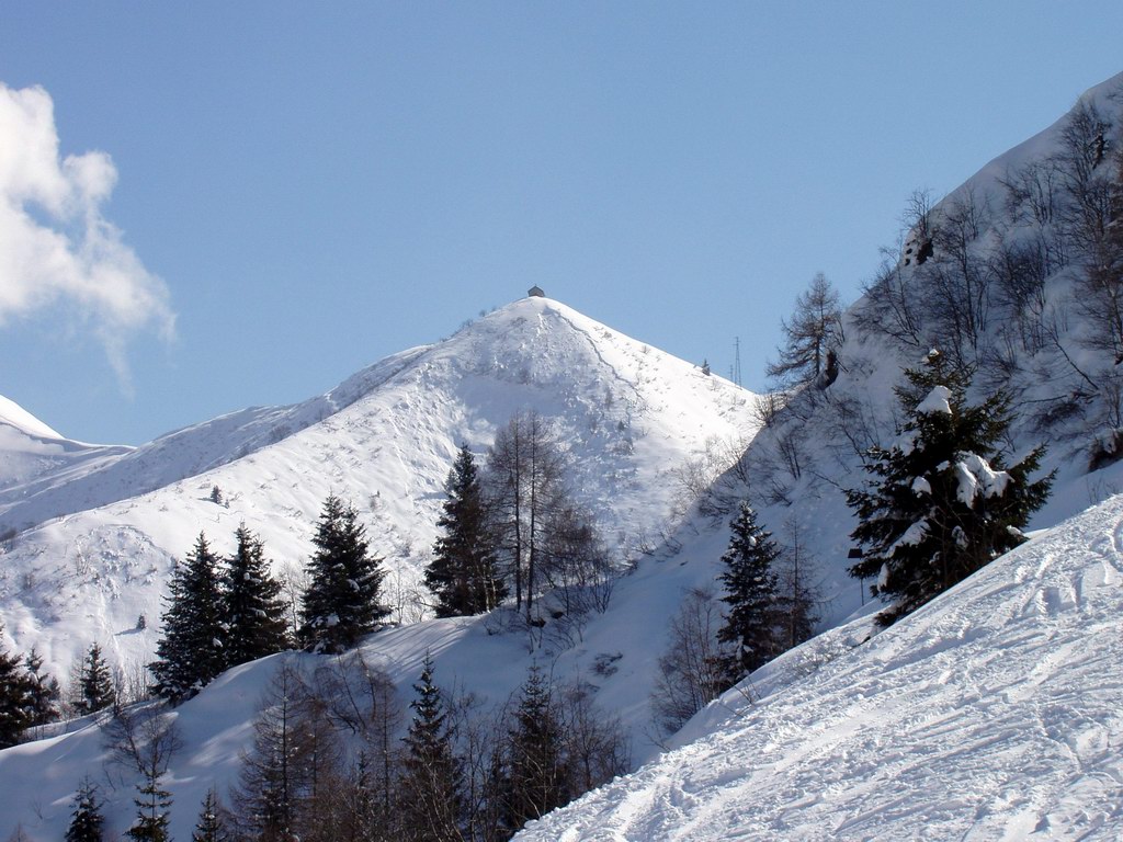 52375-03erdirector1-2.jpg