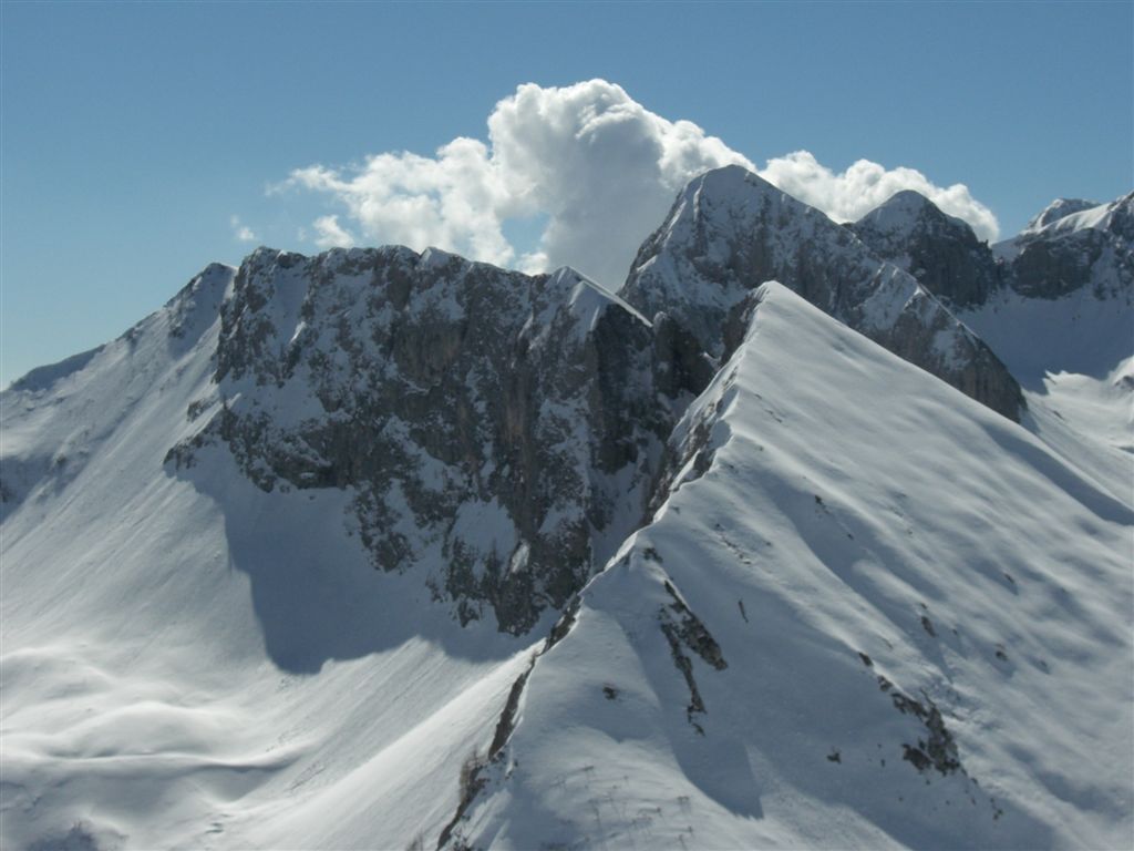 52377-03erdirector1-6.jpg