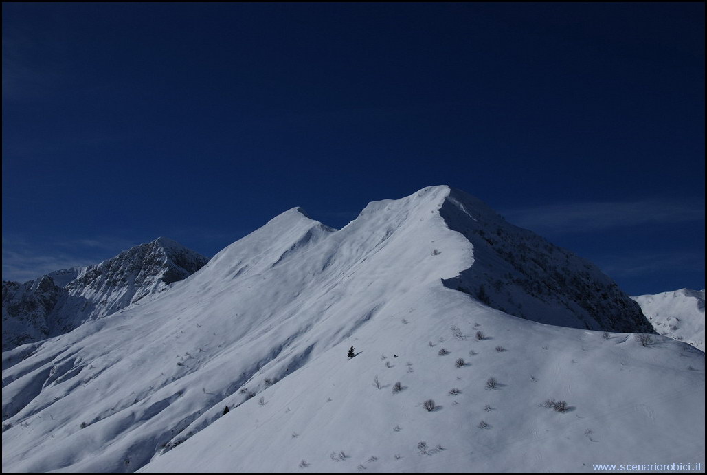 52849-photo06.jpg