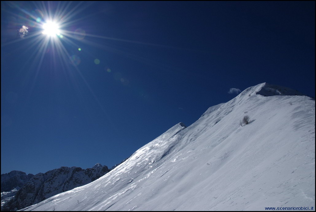 52851-photo19.jpg