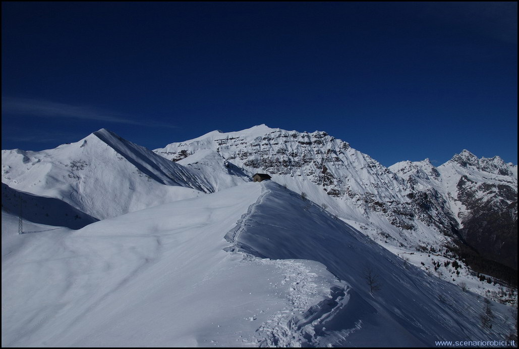 52868-photo05.jpg