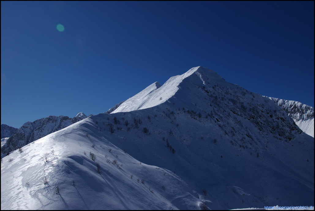 52869-photo10.jpg
