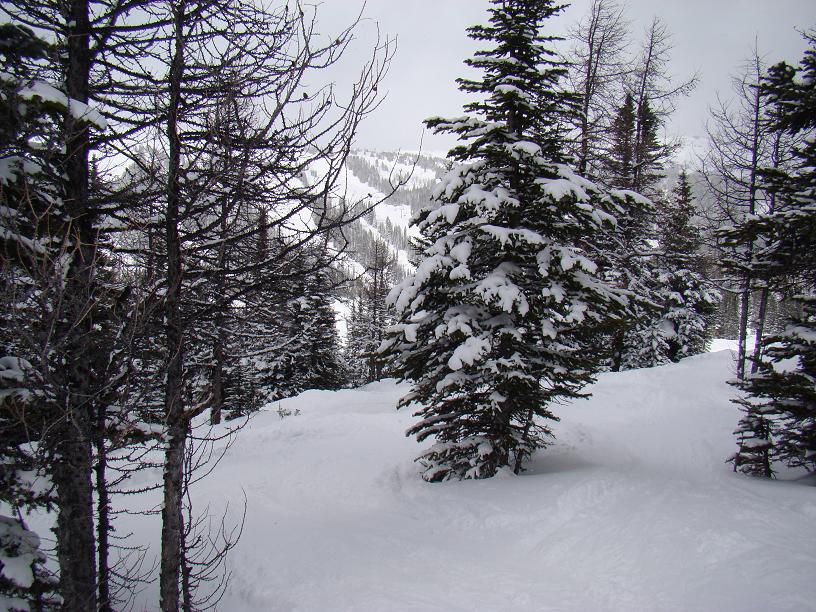 53138-dsc04875.jpg