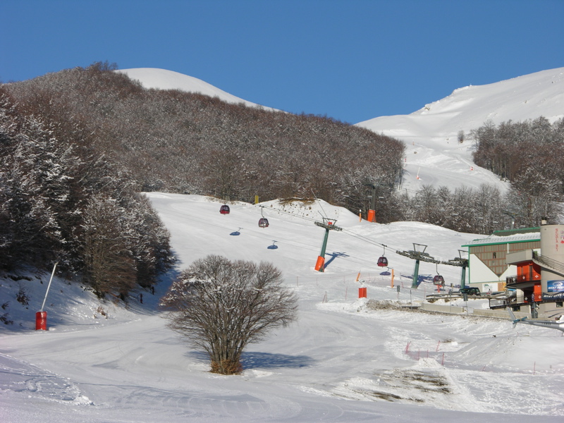 5364-rocca10001.jpg