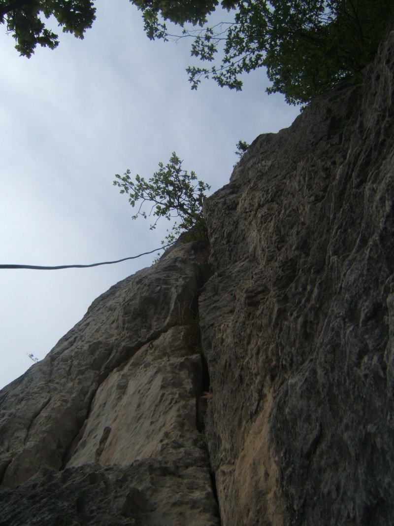 54362-9.jpg