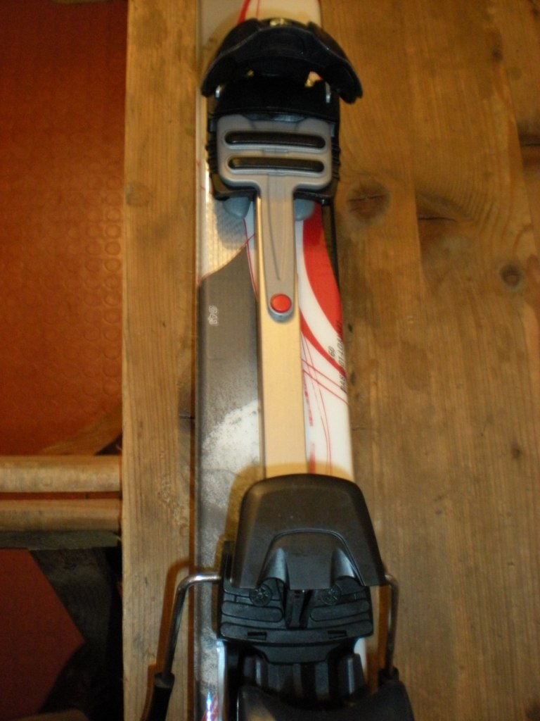 54440-sci001.jpg
