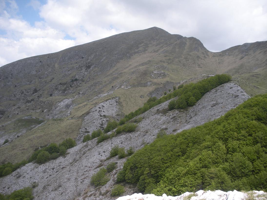 54903-dscn6693.jpg