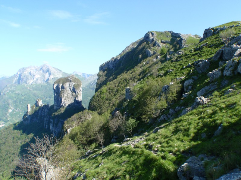 54975-12.jpg