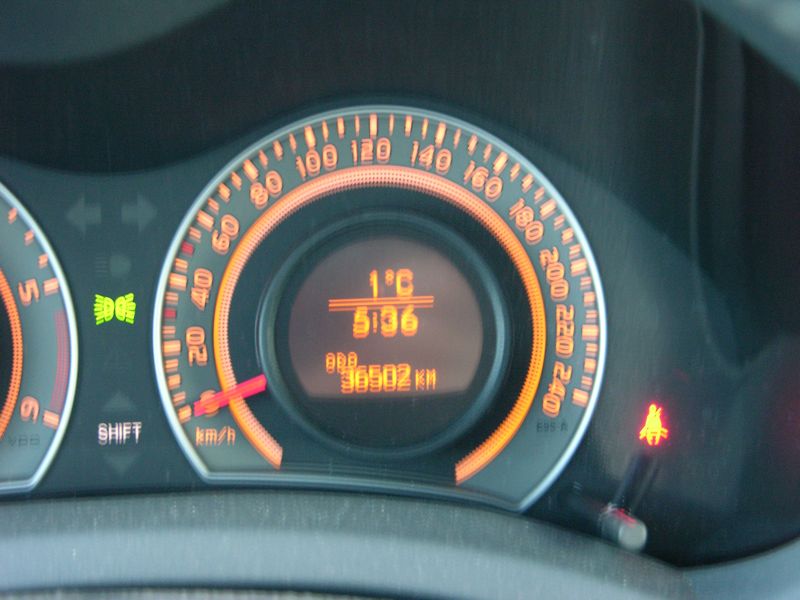55246-coppa01.jpg
